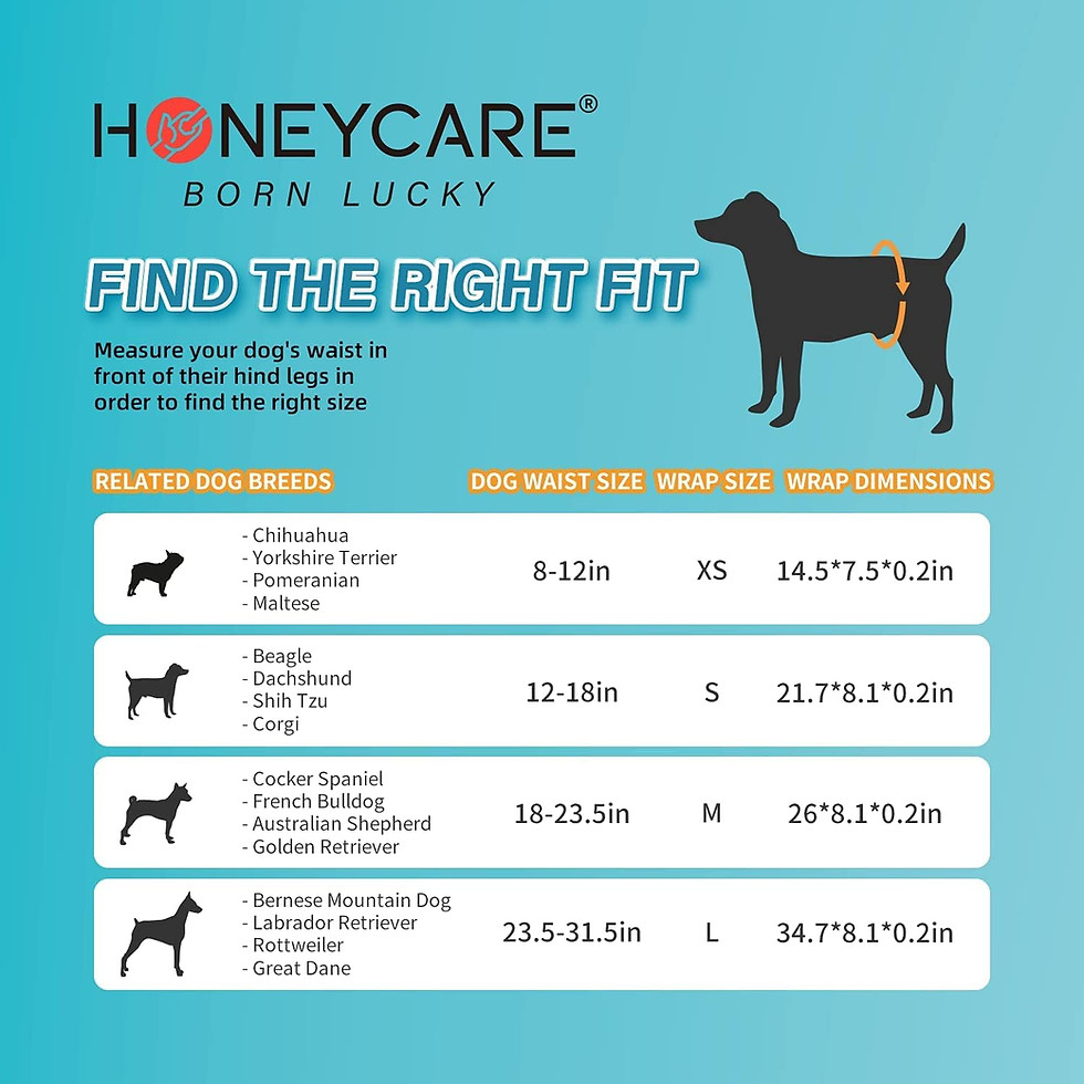Thumbnail: HONEYCARE® Petrichor Male Dog Wrap, Fresh Smell Disposable Diapers