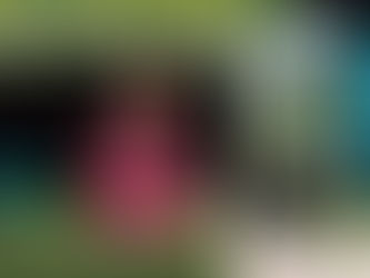 Join Nic Hankins for an evening event benefitting WCET public television