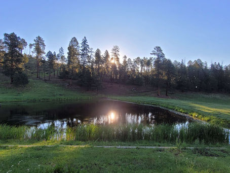 It's Amazing how God works, isn't it?