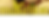 Immagine.png