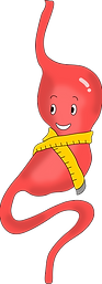Estomago.png