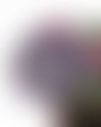 Desconstruindo o "Corpo Perfeito": A Ciência da Individualidade na Transição