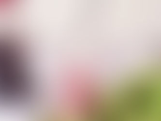 Pomegranate Avocado Smoothie