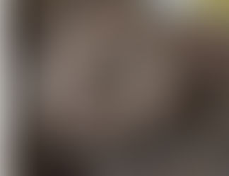 1-Bowl Chocolate Peppermint Cookies (Vegan + GF)