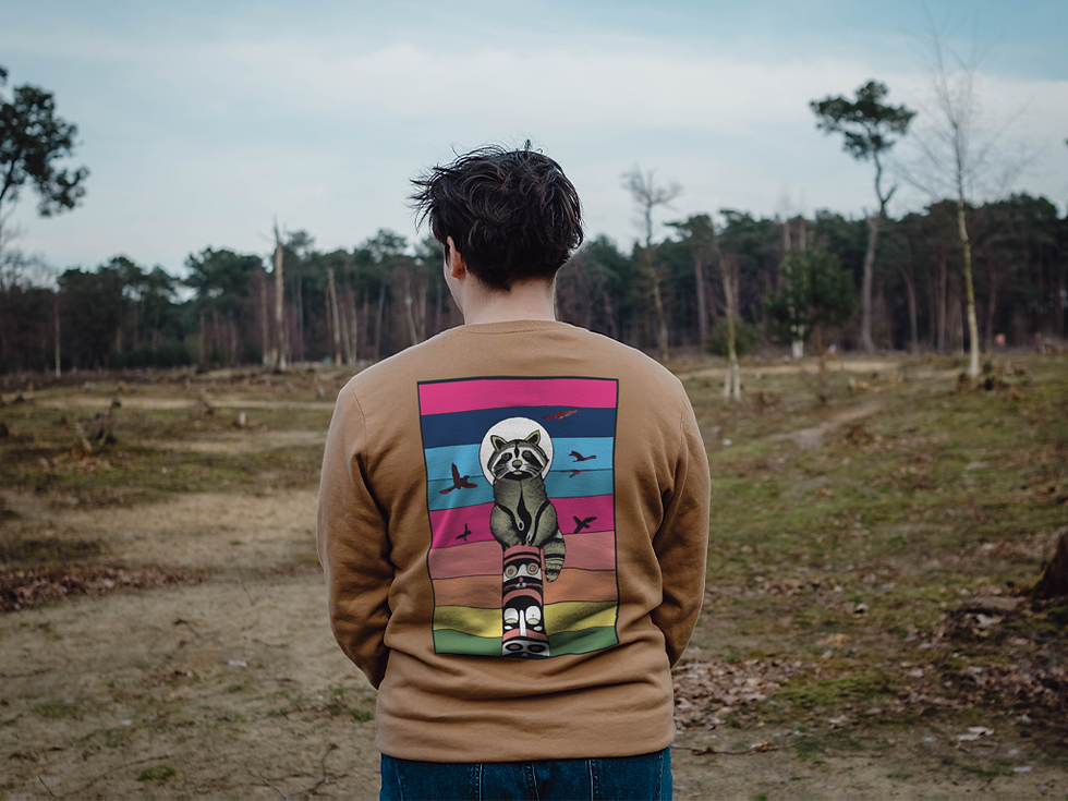 Thumbnail: Raccoon Sweater (Original)