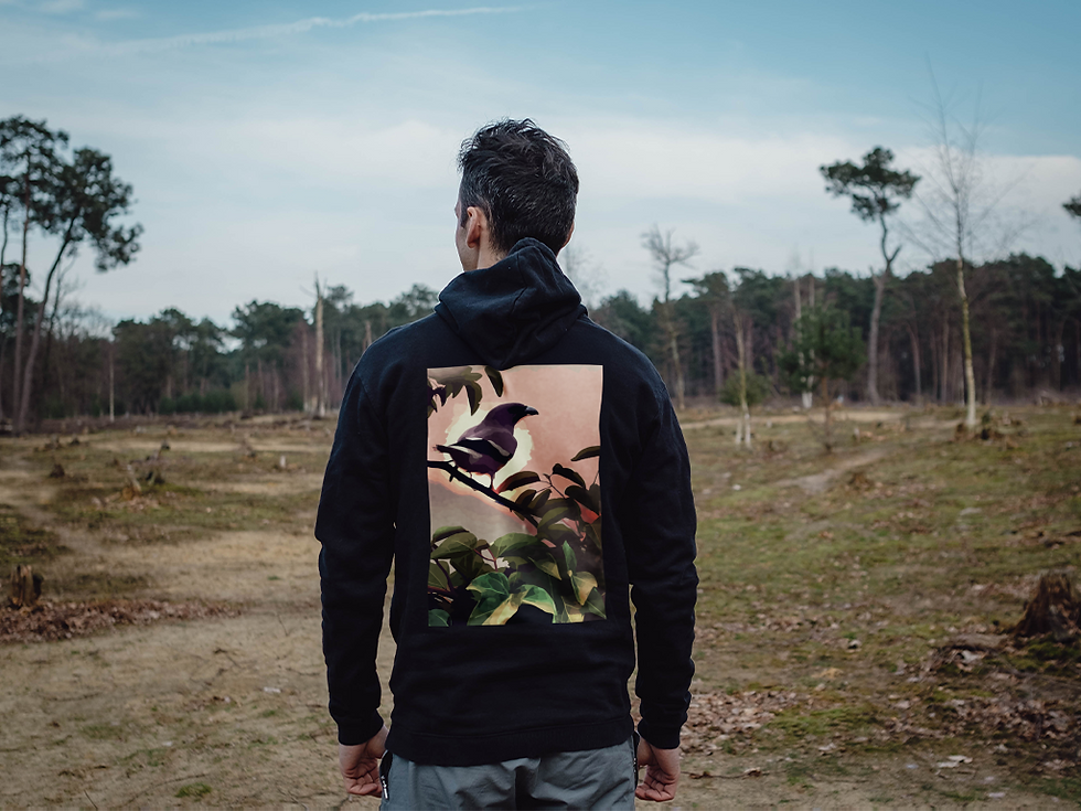 Thumbnail: Woodswallow Hoodie