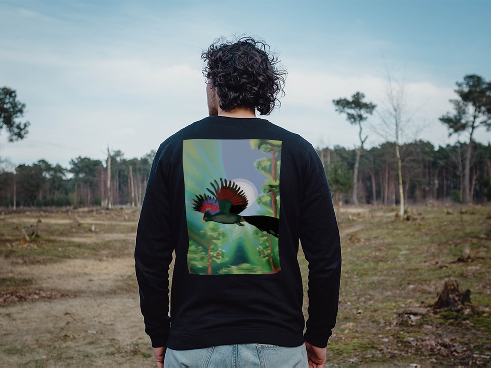 Thumbnail: Turaco Sweater