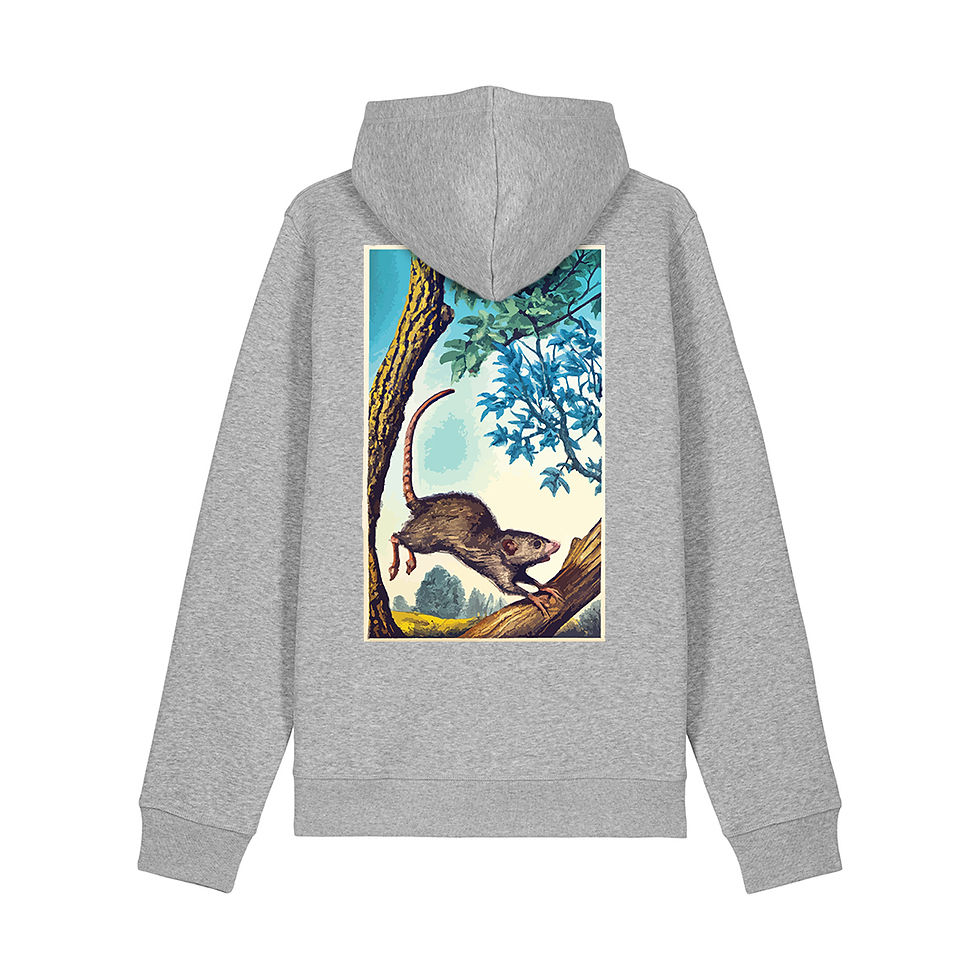 Thumbnail: Rat Hoodie