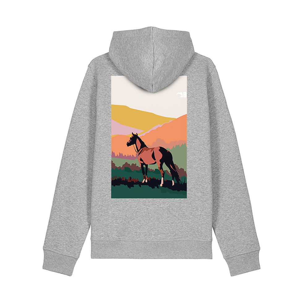 Thumbnail: Horse Hoodie