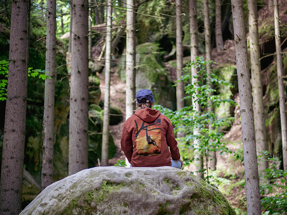 Thumbnail: Gibbon Hoodie
