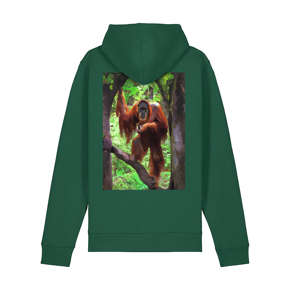 Thumbnail: Orangutan Hoodie