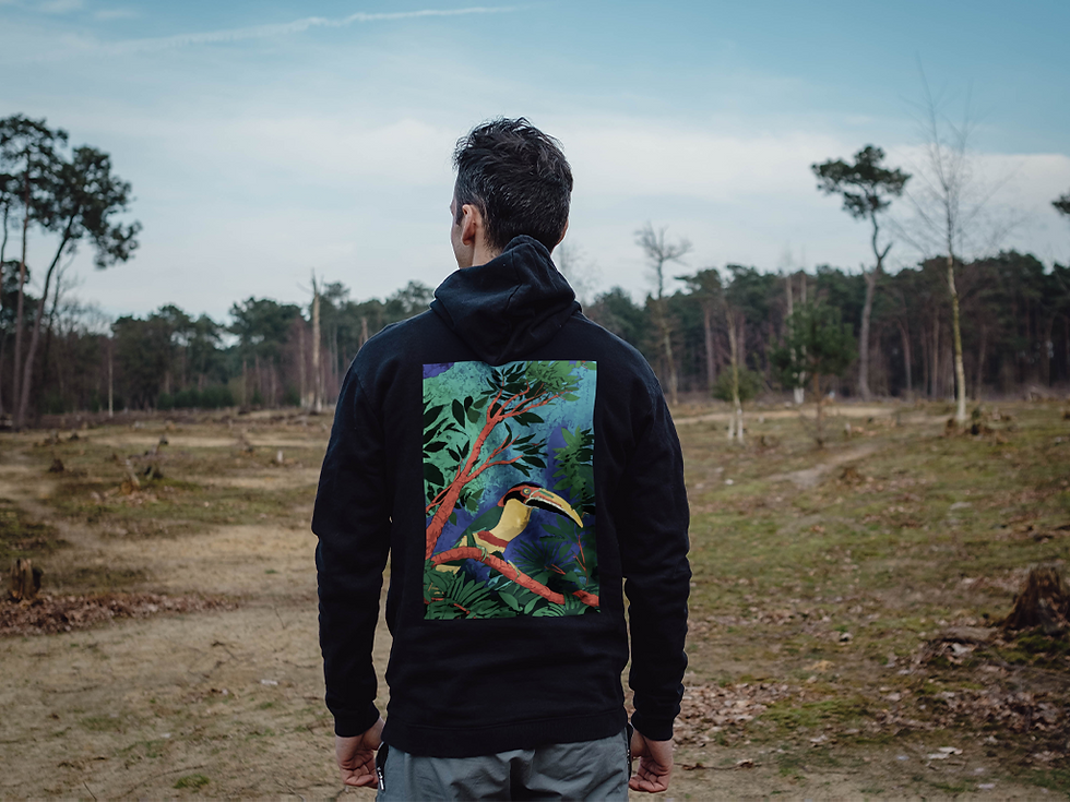 Thumbnail: Aracari Hoodie