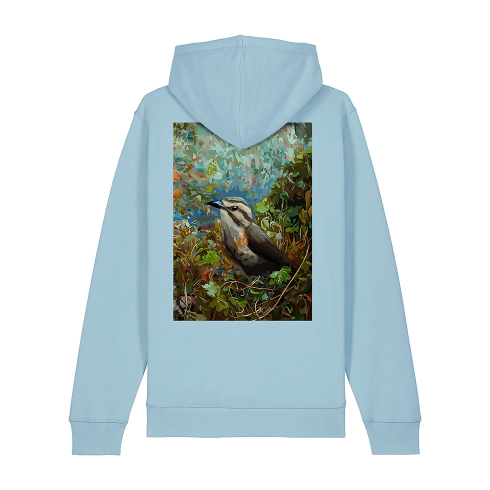 Thumbnail: Mesite Hoodie