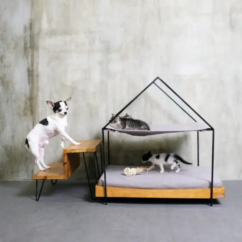 Thumbnail: Carter Pet Steps