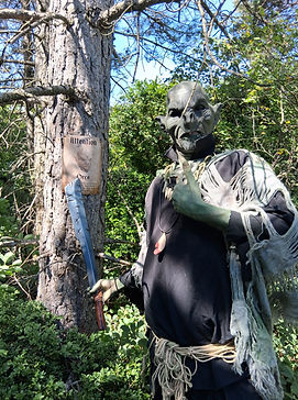 20250705_113434.jpg