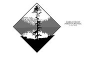 Dark Forest Photographic_edited.jpg