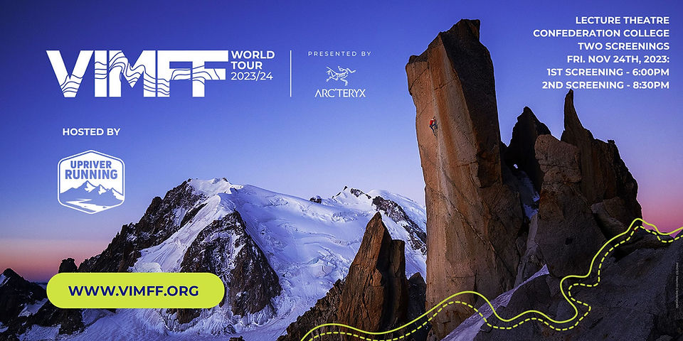 VIMFF - Eventbrite banner (3).jpg