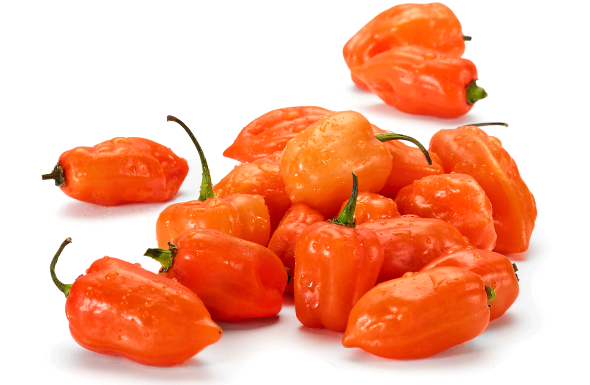 Orange Habanero Peppers