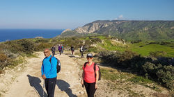 20190307_152842 Large