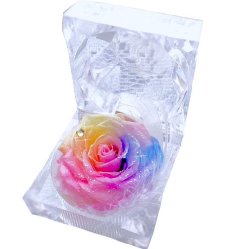 高級プリザーブドフラワー】 パステルレインボーカーネーション 高級プリザーブドフラワー】 パステルレインボーカーネーション