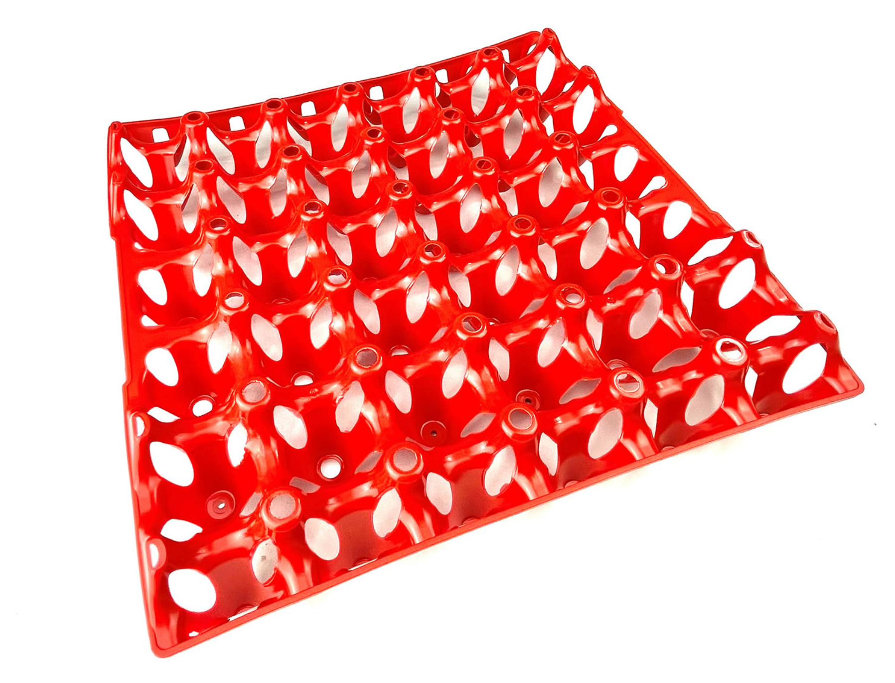 Plastic Egg Tray