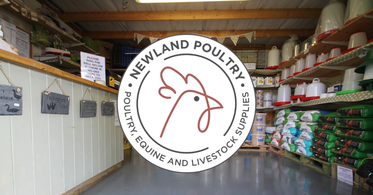 Newland Poultry I Chickens For Sale & Chicken Supplies I Worcestershire