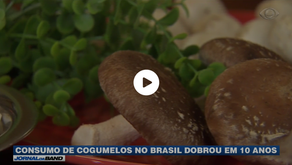 Consumo de cogumelo no Brasil dobrou em dez anos