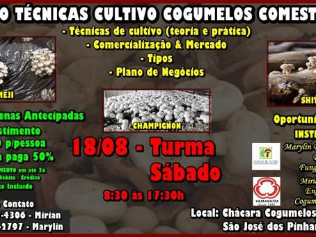 Curso: Técnicas de Cultivo de Cogumelos Comestíveis
