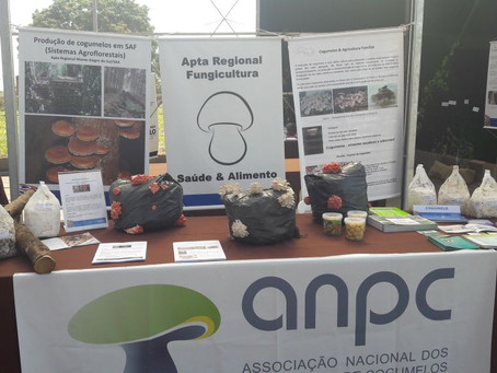 ANPC esteve 25º Agrishow