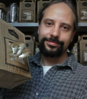 Pesquisador cria técnica para cultivo de cogumelos em caixa de papelão