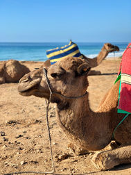 tangier.jpeg