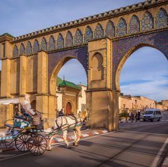 MoulayIsmail02.jpeg