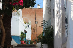 tangier_71720.jpeg