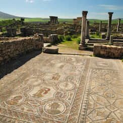 volubilis03.jpeg