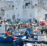 tangier_87617.jpeg
