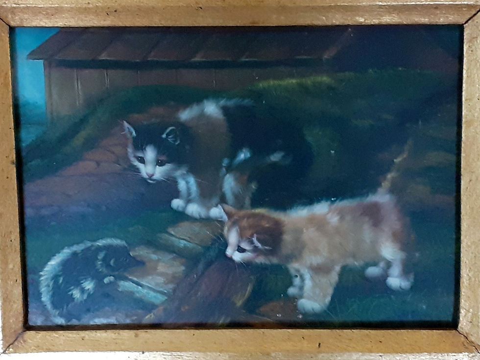 Miniaturbild: HO54
