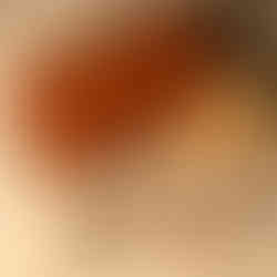 Brown leather wallet on crumpled paper with decorative dried flowers and seeds.