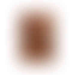 Brown leather card holder with cards inside; Feather Touch Impex Pvt. Ltd.