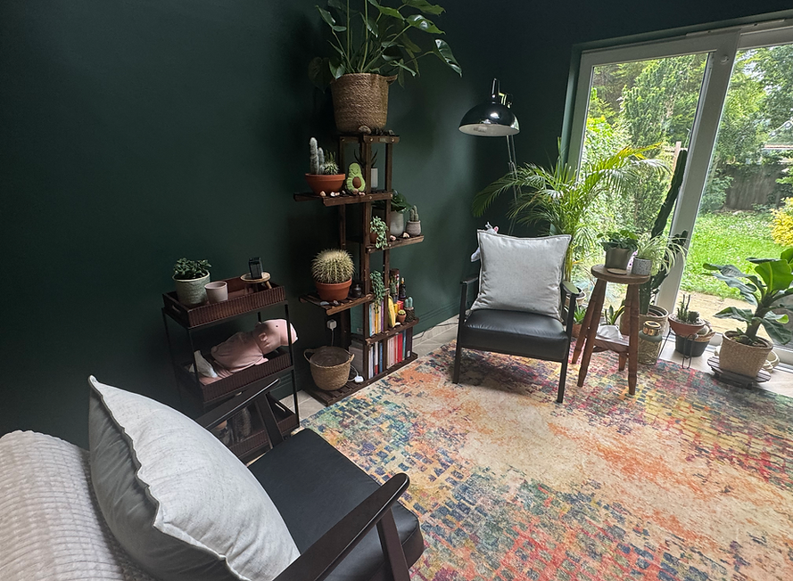 Miles Stevenson's therapy room