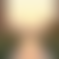 Unlocking Regenerative Urbanism: CFCPD Certification Explained