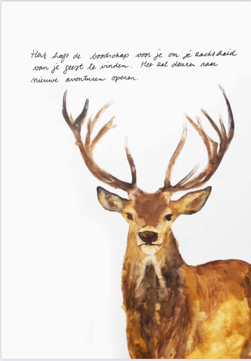 Thumbnail: Prints  Edelhert, Beer, wolf, hert, antiloop, waterbuffel, veer kracht