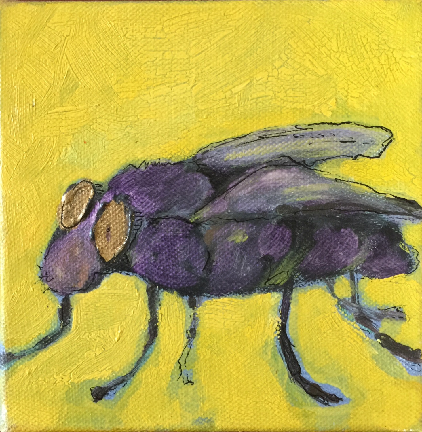 Fly on the wall