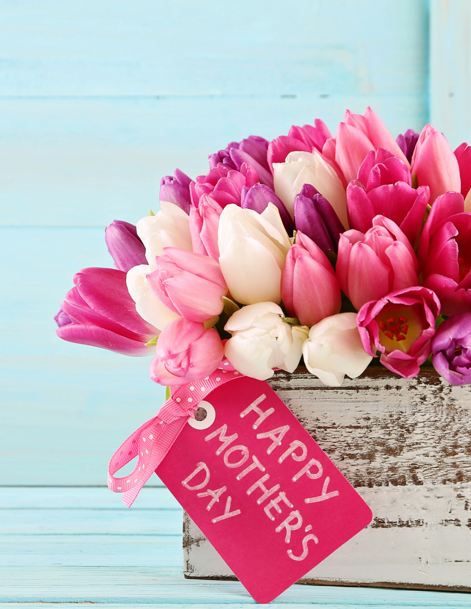 Mother's Day Home Essential Bundle