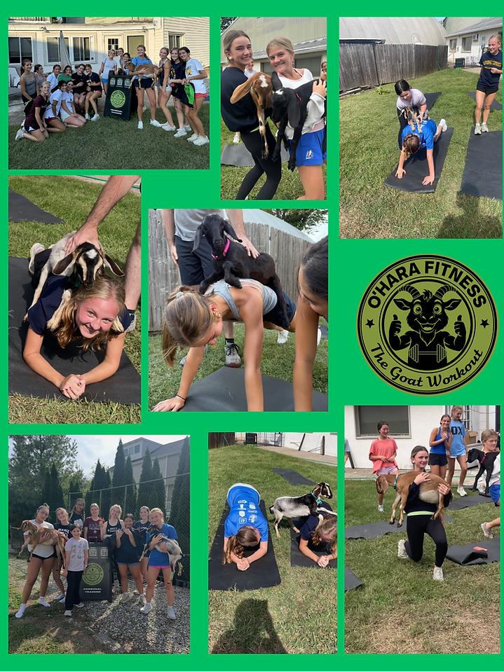 Untitled design (9).png