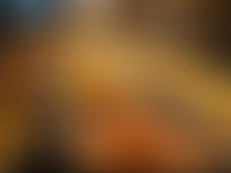 Best Indian Buffets Columbia: A Culinary Journey Through Flavor and Tradition