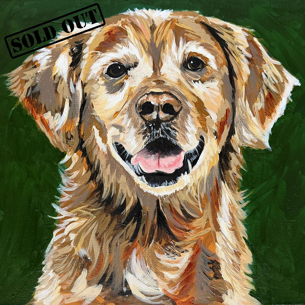 Paint Your Pet - 27th June