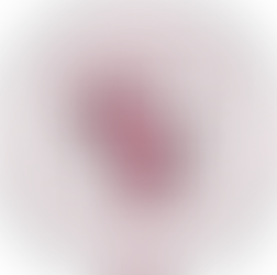 Bellarmine Close to Naming President, Announcement Expected in 8-10 Days