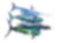 fishesbg_edited.png