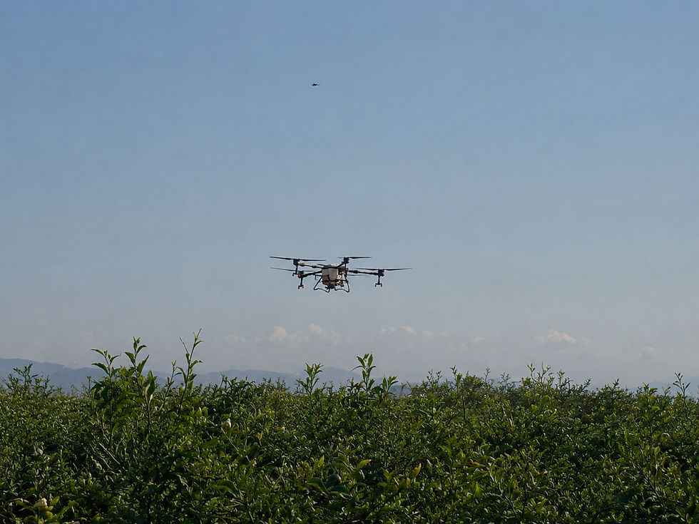 Atardecer con dron