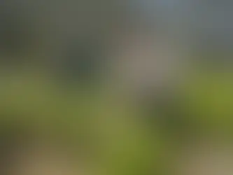 Saullo Vianna reforça apoio ao setor primário e amplia investimentos em Presidente Figueiredo